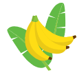 Illustration of three bananas with green leaves on a white background