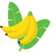Illustration of bananas with leaves on a white background
