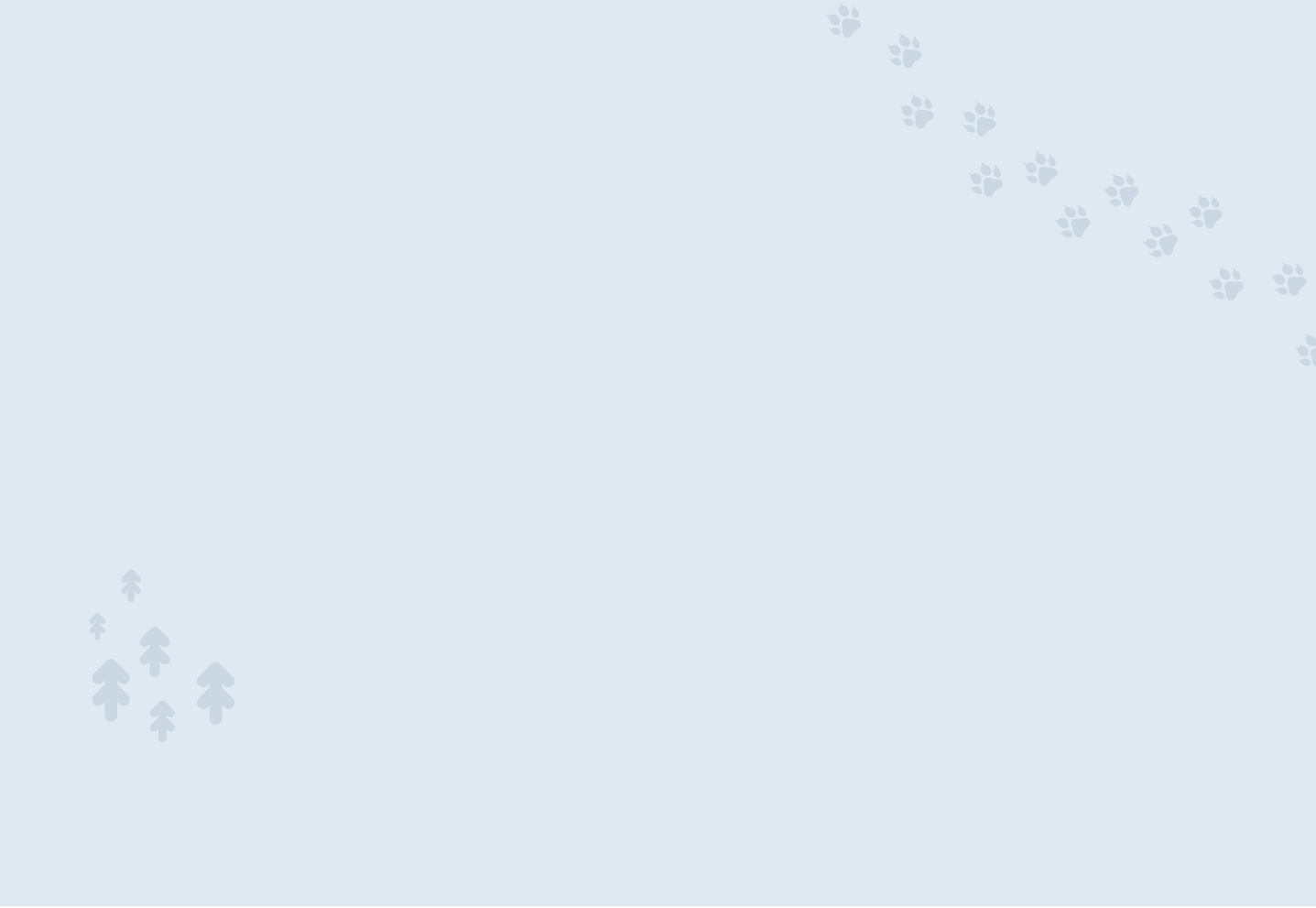Light blue background with small tree silhouettes and animal paw prints creating a nature-inspired outdoor theme.