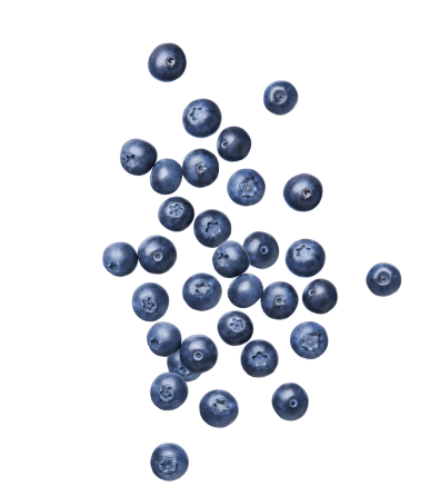 Scattered fresh blueberries symbolizing natural, organic ingredients in maple-powered vegan kids snacks for outdoor fun.