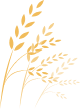 Decorative element with gold leaves on a white background