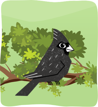 Illustration of a black bird perched on a leafy branch with a simple green background