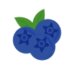 Blue icon of a blueberry with green leaves on a white background