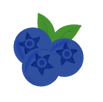 Blueberry icon with green leaves on a white background