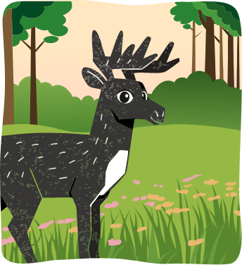 Illustration of a black moose with white markings standing in a green forest clearing with trees and wildflowers.