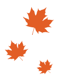 Three orange maple leaves on a white background