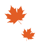 Two orange maple leaves on a white background